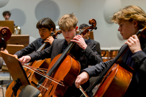Tiefe Steicher Cello